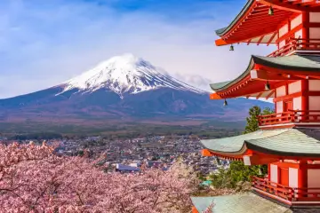Piękna Japonia wycieczka: kwitnące wiśnie, czerwona pagoda i ośnieżony Fudżi.