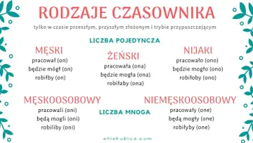 Rodzaje czasownika: męski, żeński, nijaki (l.poj.) i męskoosobowy, niemęskoosobowy (l.mn.). Czasownik to część mowy.