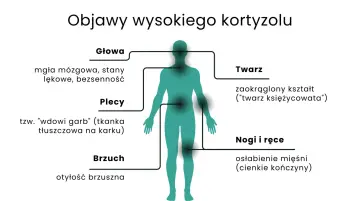 Schemat objawów wysokiego kortyzolu: mgła mózgowa, "wdowi garb", otyłość brzuszna, zaokrąglona twarz, osłabienie mięśni.