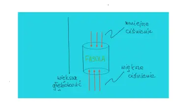 Ilustracja pokazuje cylinder z napisem "FASOLA". Strzałki wskazują na mniejsze ciśnienie u góry i większe ciśnienie u dołu, co ilustruje siłę wypadkową.