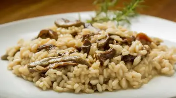 Kremowe risotto z grzybami na białym talerzu, ozdobione gałązką rozmarynu.