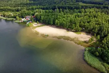 Piękny, piaszczysty brzeg nad zbiornikiem Pogoria, otoczony zielonym lasem. W oddali widać budynek z pomostem i łódkami.