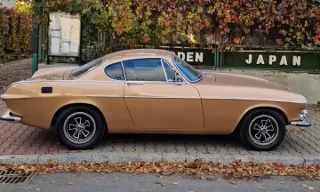 Klasyczny Volvo P1800 w kolorze złotym, zaparkowany na tle jesiennych liści i zielonego płotu z napisem "JAPAN".