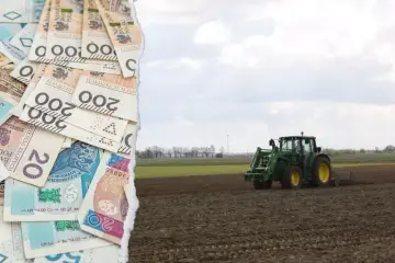 Złotówki i zielony traktor na polu. Zastanawiasz się, ile kosztuje hektar lasu?