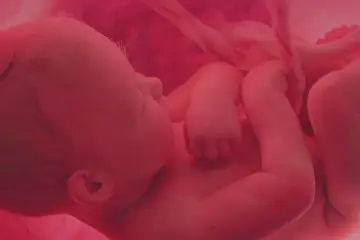Dziecko w łonie matki, otoczone pępowiną. Czas na modlitwę za dziecko nienarodzone, o jego zdrowie i przyszłość.