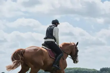 Cavalier en tenue d'équitation sur un cheval bai, sous un ciel nuageux. La tête d'arsouille du cheval est visible, prête pour l'aventure.