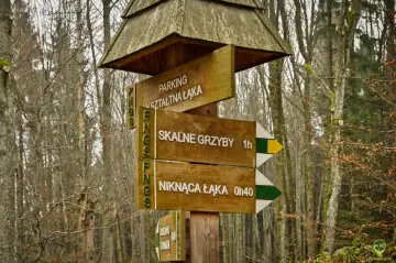 Drewniany drogowskaz w lesie wskazuje drogę do "SKALNE GRZYBY" (1h) i "NIKNĄCA ŁĄKA" (0h40).