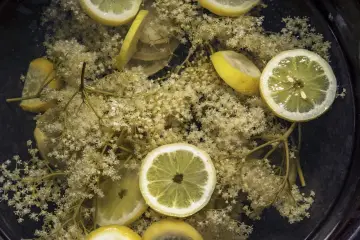 Kwiaty czarnego bzu i cytryny w wodzie, gotowe do przygotowania syropu do drinków Hugo.