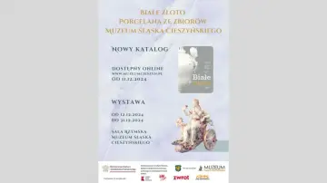 Muzeum Śląska Cieszyńskiego: Godziny, bilety i unikalne skarby