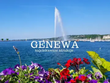 Kwiaty na pierwszym planie, w tle Jezioro Genewskie z fontanną Jet d'Eau. Genewa, gdzie jest to miasto pełne pięknych widoków.