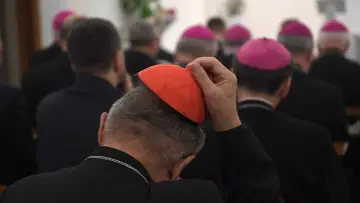 Biskupi w różowych biretach i jeden z czerwoną piuską, dyskutują o przyszłości funduszu kościelnego.