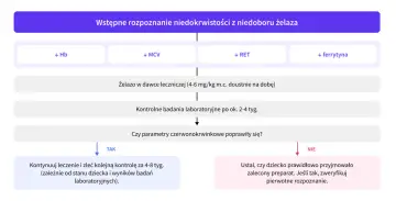 Schemat diagnostyki niedokrwistości z niedoboru żelaza u niemowlaka. Wskazuje na badania, dawkowanie żelaza i kontrolę leczenia.