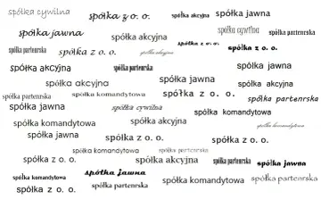 Różne rodzaje spółek: jawna, akcyjna, z o.o., komandytowa, cywilna, partnerska.