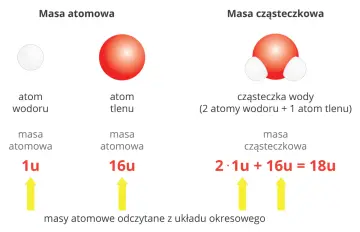 Porównanie mas: atom wodoru (1u), atom tlenu (16u) i cząsteczka wody (18u), ilustrujące obliczanie masy cząsteczkowej.
