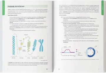 Ilustracja przedstawia etapy upakowania DNA w chromosom, od helisy DNA do chromosomu, oraz schemat cyklu komórkowego. To fragment materiałów do nauki "biomedica zbiory zadań".