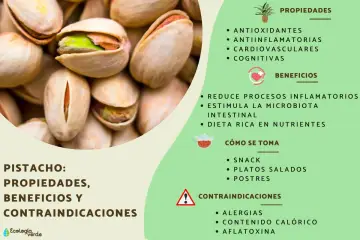Primer plano de pistachos, un fruto seco con propiedades antioxidantes y antiinflamatorias. Ideal como snack o en platos salados.