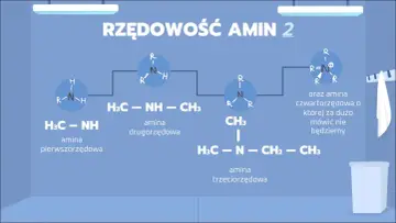 Schemat przedstawia rzędowość amin: pierwszorzędową (H3C-NH), drugorzędową (H3C-NH-CH3) i trzeciorzędową (H3C-N(CH3)-CH2-CH3).