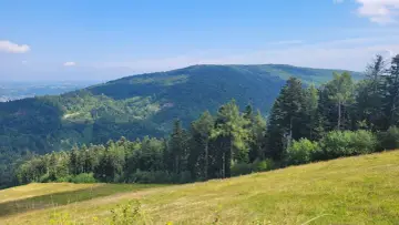 Zielone, zalesione wzgórza Myślenic pod błękitnym niebem. Słoneczna polana na pierwszym planie.
