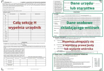 Formularz in-1 do wypełnienia przez urząd lub starostwo. Sekcja H, dotycząca prawa jazdy, jest wypełniana przez urzędnika.
