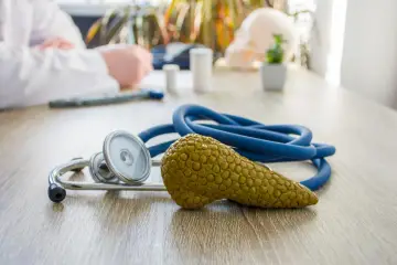 Model trzustki obok stetoskopu, symbolizujący rolę trzustki w trawieniu i produkcji enzymów, takich jak trypsyna.