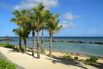 Rajskie plaże Mauritiusa z palmami kołyszącymi się na wietrze i turkusową wodą.