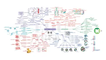 Mapa myśli o podziałach komórkowych, idealna do samodzielnego przygotowania do matury z biologii.
