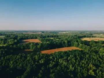Krajobraz z lotu ptaka, ukazujący lasy i pola uprawne. Widok idealny do analizy na geoportal powiatu siedleckiego.