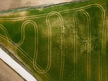 Widok z lotu ptaka na zielone pole z śladami po maszynach rolniczych. Zastanawiasz się, ile kosztuje podzielenie działki rolnej?