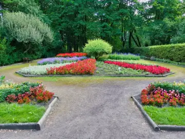 Ogród Botaniczny Zabrze: Zaplanuj wizytę! Godziny, bilety, atrakcje