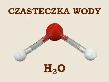 Model cząsteczki wody H₂O. Czerwona kula (tlen) połączona z dwiema białymi (wodór) tworzy kąt, co wpływa na kohezję wody.