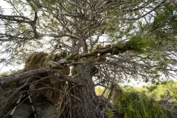 Ukryty w gałęziach drzewa, partyzant w ghillie suit celuje z karabinu snajperskiego.