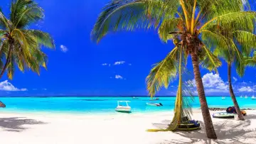 Rajska plaża na Mauritiusie w czerwcu. Błękitne niebo, turkusowa woda i palmy tworzą idealną pogodę na wakacje.
