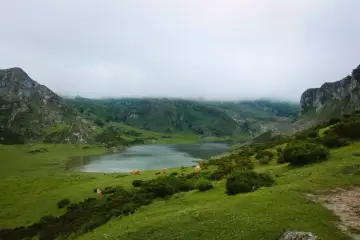 Mgliste góry w Hiszpanii, zielone wzgórza i spokojne jezioro. Kilka krów pasie się na trawie, tworząc sielski krajobraz.
