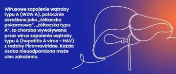 WZW A, czyli wirusowe zapalenie wątroby typu A, to choroba zakaźna. Grafika przedstawia schemat wątroby.