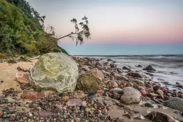 Kamienista plaża w Wolińskim Parku Narodowym, z wielkimi głazami i drzewem pochylonym nad morzem. Ciekawostki przyrodnicze tego miejsca zachwycają.