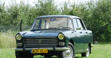 Klasyczny, zielony Peugeot 404 na tle zieleni.