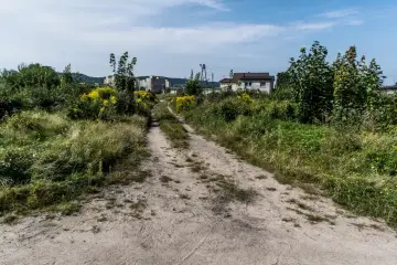Droga gruntowa przez zarośla, prowadząca do domów i bloków. To obrazuje, co oznacza służebność drogi w akcie notarialnym – prawo przejścia.