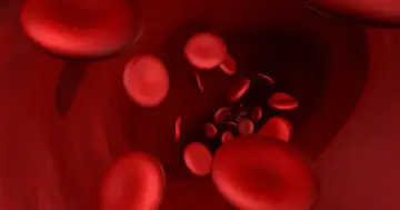 Czerwone krwinki płynące w naczyniu krwionośnym, obraz sugerujący stan bliski wstrząsowi hipowolemicznemu.