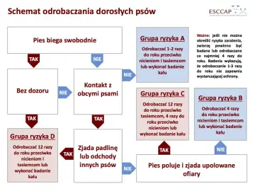 Schemat odrobaczania psów: odrobaczanie psa co ile zależy od jego stylu życia i kontaktu z innymi zwierzętami.