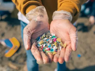 Ręce w rękawiczkach trzymają garść kolorowych drobinek plastiku, przypominających mikroplastik w kosmetykach, znalezionych na plaży.