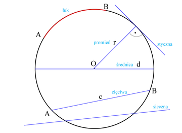 Geometryczny rysunek z łukiem, promieniem, średnicą, cięciwą i sieczną. Pokazuje elementy koła i okręgu.