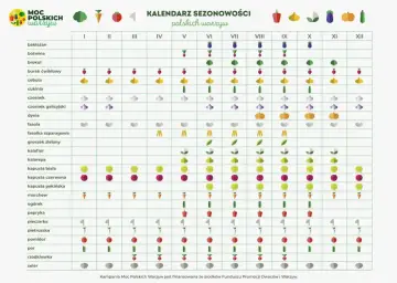 Kalendarz sezonowości polskich warzyw: kiedy siać warzywa, od bakłażana po selera, z ikonami wskazującymi miesiące.