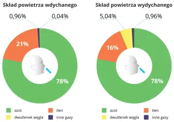Porównanie składników powietrza wdychanego i wydychanego: azot, tlen, dwutlenek węgla i inne gazy.