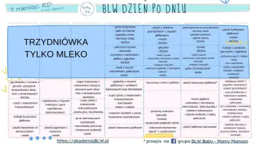 Tabela z propozycjami posiłków dla niemowląt, które stosują metodę BLW. Znajdziesz tu pomysły na śniadania, obiady i kolacje.