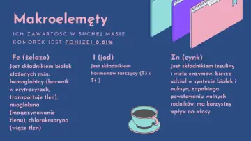 Makroelementy: Fe (żelazo) dla hemoglobiny, I (jod) dla hormonów tarczycy, Zn (cynk) dla insuliny i enzymów. To najważniejsze pierwiastki chemiczne.