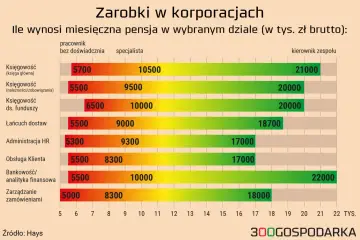 Zarobki w korporacjach: pensje specjalistów i kierowników w różnych działach. Przykładowo, księgowy bez doświadczenia zarabia 5700 zł, a kierownik zespołu w tym dziale 21000 zł.