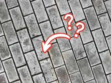 Szare wykwity na kostce brukowej, zaznaczone czerwoną strzałką i znakami zapytania.