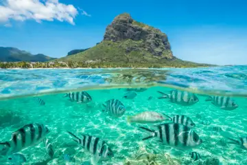 Podwodny świat z rybami i góra Le Morne Brabant na Mauritiusie. Czy na Mauritius jest bezpiecznie? Tak, to raj dla nurków.