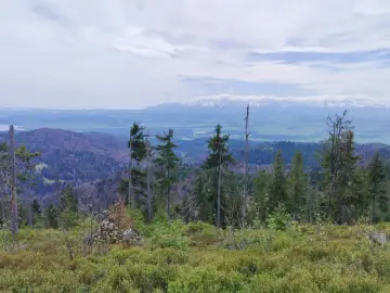 Widok z Rabki Zdrój na Tatry. W oddali majaczą ośnieżone szczyty, a bliżej zielone doliny i lasy.