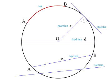 Geometryczny rysunek z elementami okręgu: łuk, promień, styczna, średnica, cięciwa i sieczna.